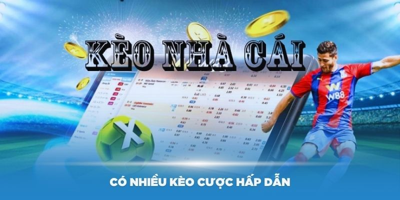 Có nhiều kèo cược hấp dẫn tại 7M Luxury